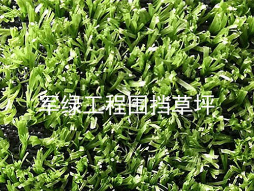 TEXAS HOLEES塑料寬牌 賭場(chǎng)撲克 紅藍(lán)色款